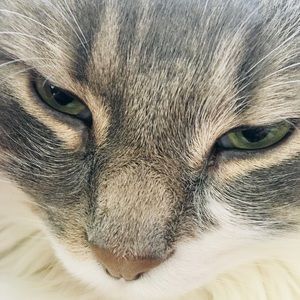 Meet your Posher, Meredith